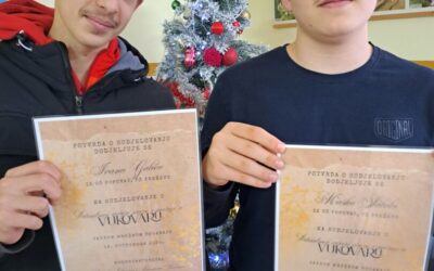 Virtualna večer poezije i proze o Vukovaru