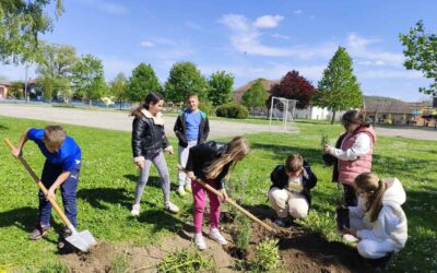 Od plakata do sadnje: Dan planeta Zemlje u OŠ Popovac