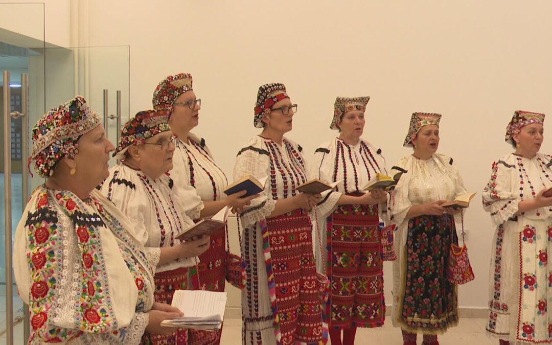 Od Baranje do Tuzle: knjižničarka Marijana Kuna u dvostrukoj ulozi